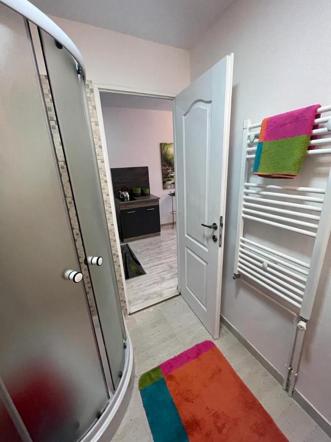 Apartament Acasa Sf.Gheorghe Sfântu-Gheorghe 外观 照片