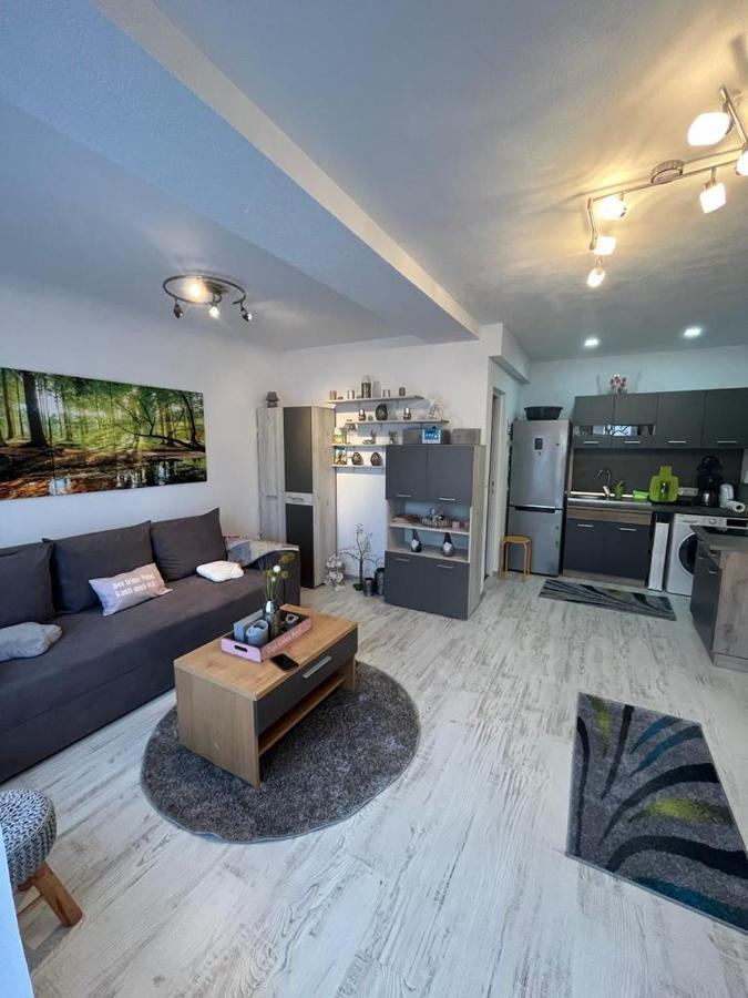 Apartament Acasa Sf.Gheorghe Sfântu-Gheorghe 外观 照片